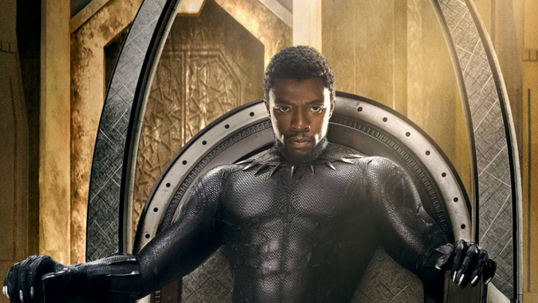 Black Panther Hero Black Panther Hero