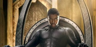 Black Panther Hero