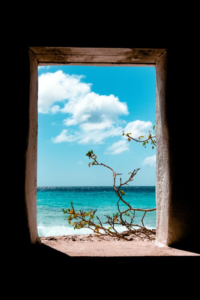 Discover the Best Kept Secret of the Caribbean: Bonaire, 8 Great Diver’s Paradise You Can’t Miss
