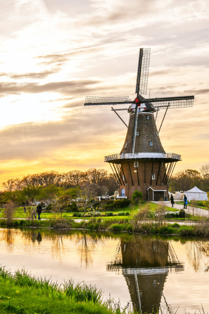 Holland or Netherlands: Which One Should You Use? The Ultimate Guide to Clearing Your Confusion!