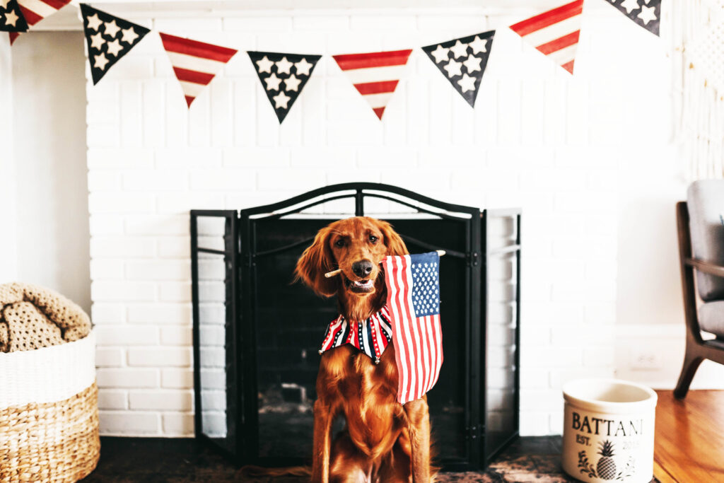 Independence Day Pet Safety Tips adventuregirl.com