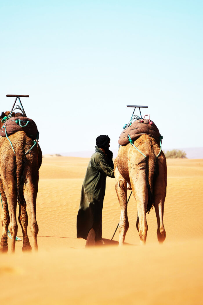 From Hump Day to Fun Day: Explore the Moroccan Desert with the Berbers