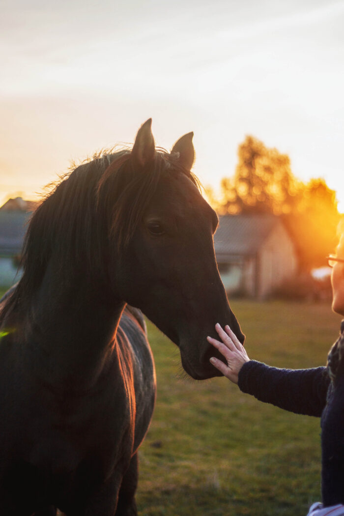 Gallop, Sip, and Explore: 10 Fun Things to Do in Lexington, KY (Even If You’re Not a Horse!)