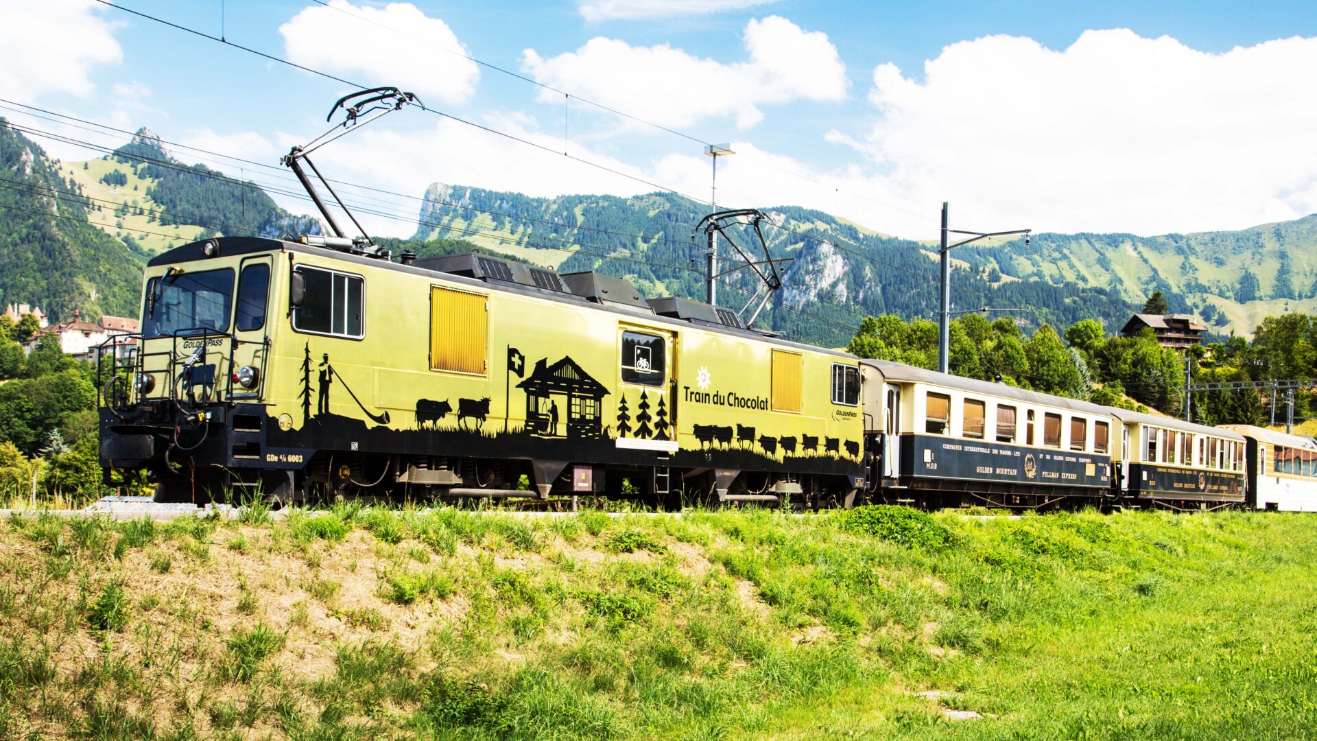 Scenic view from the Chocolate Train window