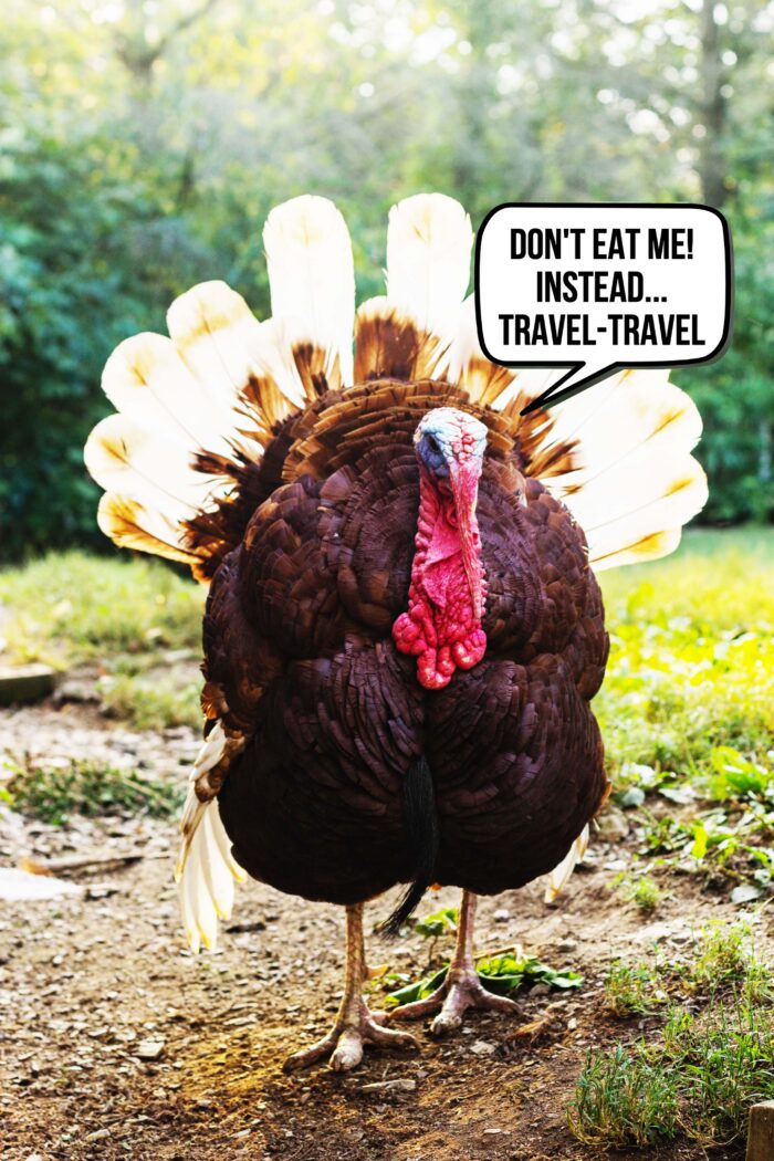 Last-Minute Thanksgiving Getaways for a Gravy-train of Fun – 11 Destinations