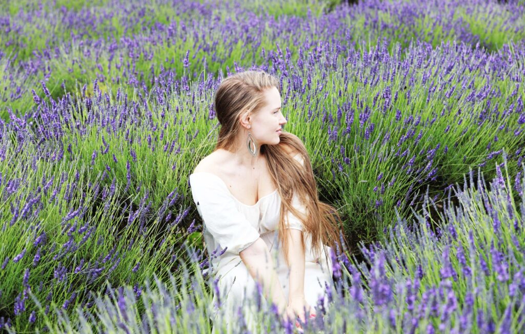 lavender fields adventuregirl.com
