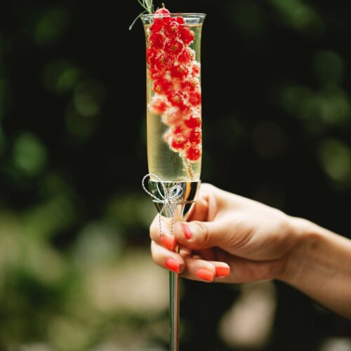 Champagne with Red Currants Recipe adventuregirl.com