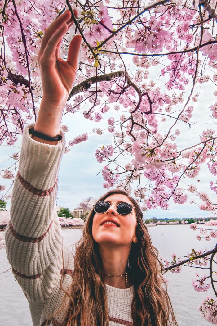 Cherry Blossoms & Monuments: A Cherrylicious 3-Day iTinerary in Washington, D.C.