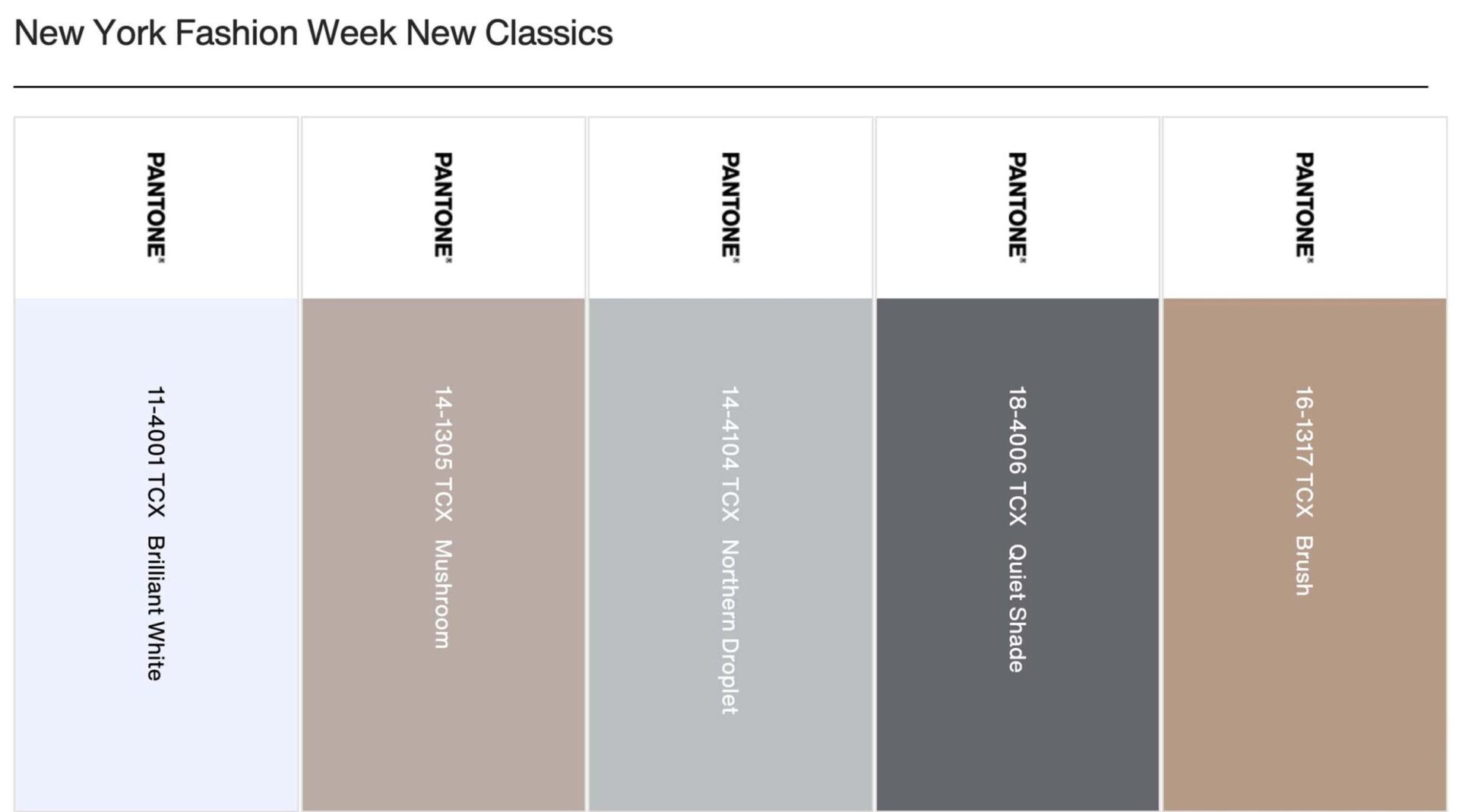 Spring/Summer 2024: Pantone's Palette Palooza 5 Best Shades