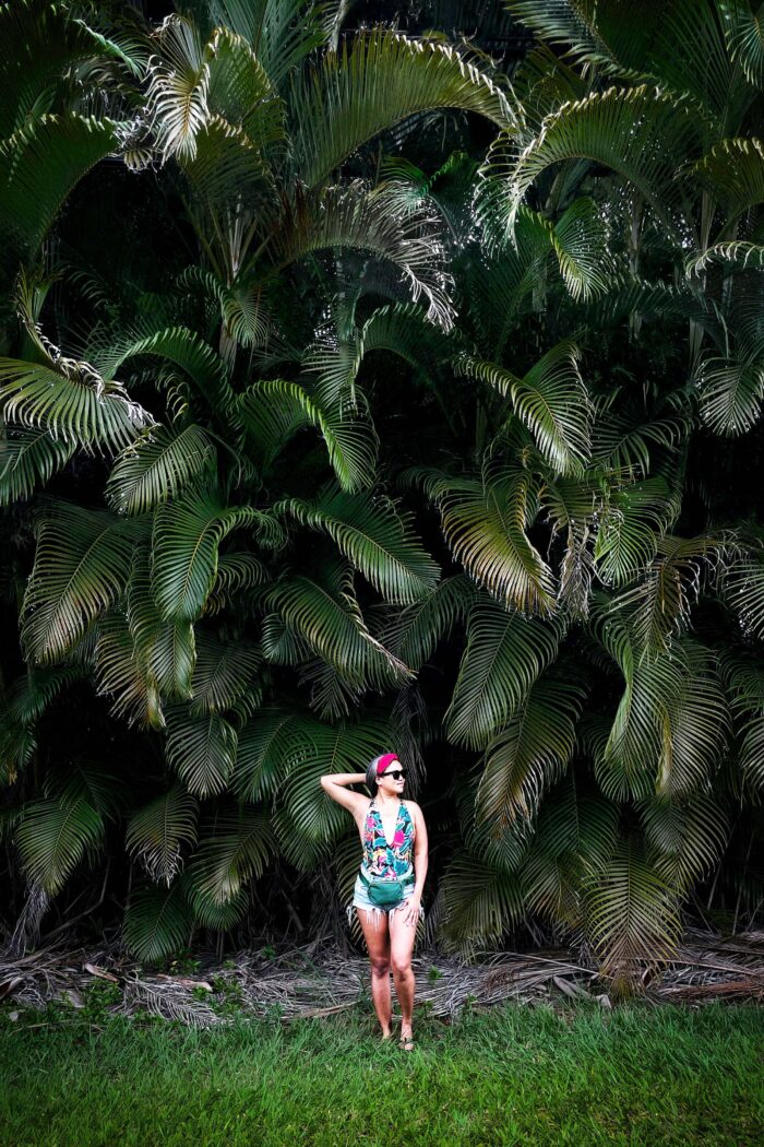 Kauai: Where Adventure Meets Awe, Coffee Meets Culture, and Coconuts Meet Coastlines