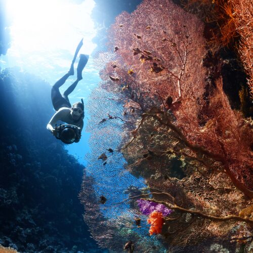 underwater photography adventuregirl.com