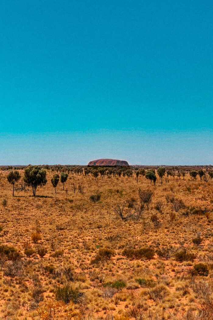 Outback Odyssey: 4 Epic Days of Wild Encounters in Australia’s Untamed Wilderness