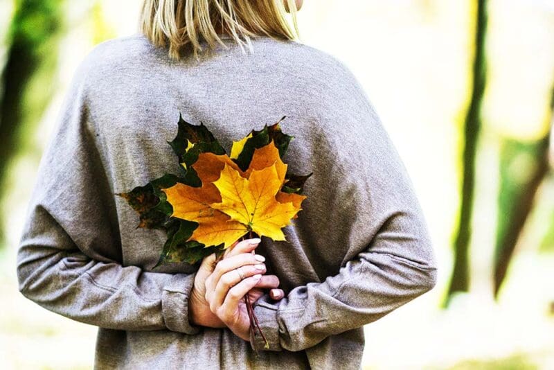Leaf It to Us: The Ultimate Guide to Chasing Fall Foliage