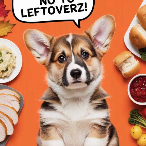 Thanksgiving Leftovers Your Dog Secretly Hates