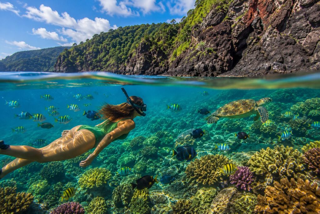 snorkle